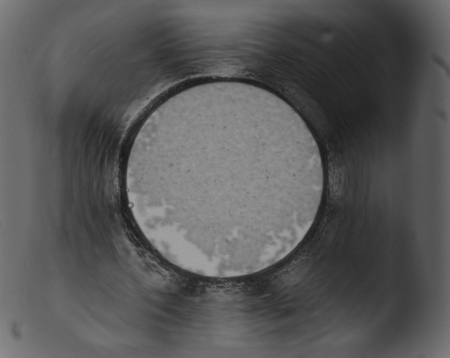 X0000103960532200810101246