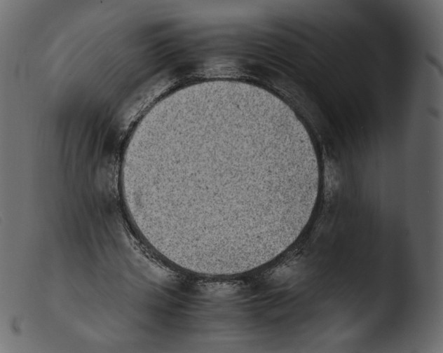 X0000103960533200810101246