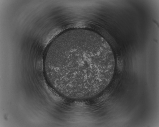 X0000103960534200810101246