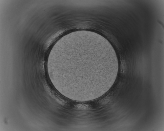 X0000103960535200810101246