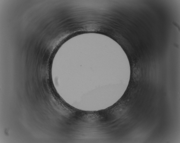 X0000103960536200810101246