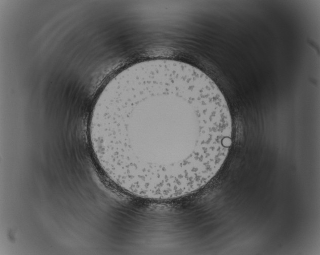 X0000103960538200810101246