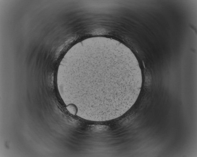 X0000103960539200810101247