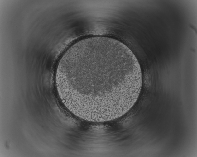 X0000103960540200810101247