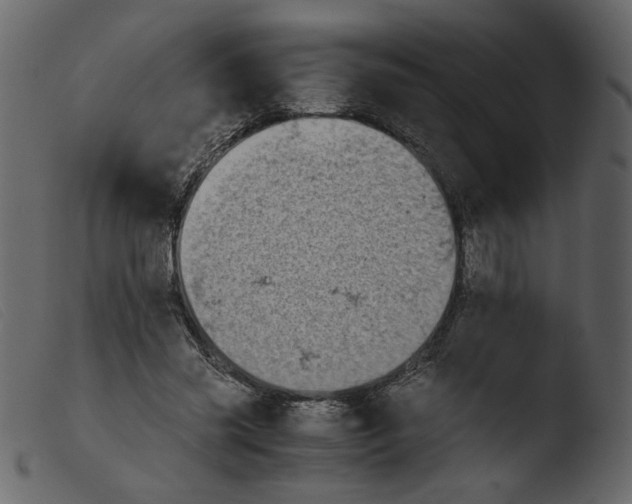 X0000103960541200810101247