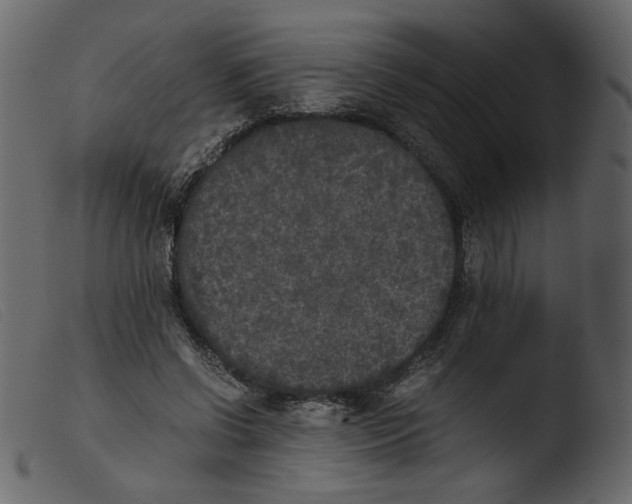 X0000103960542200810101247