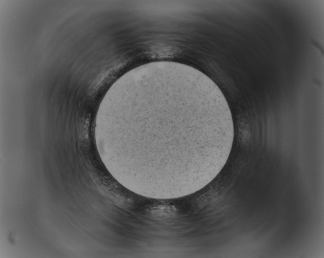 X0000103960543200810101247