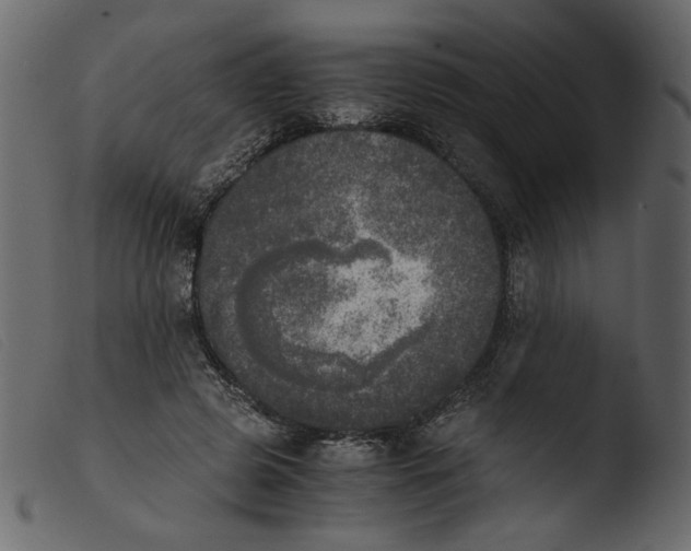 X0000103960545200810101247