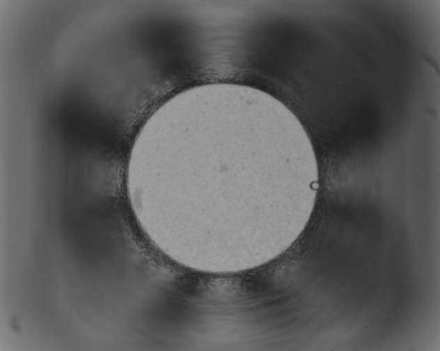 X0000103960546200810101247