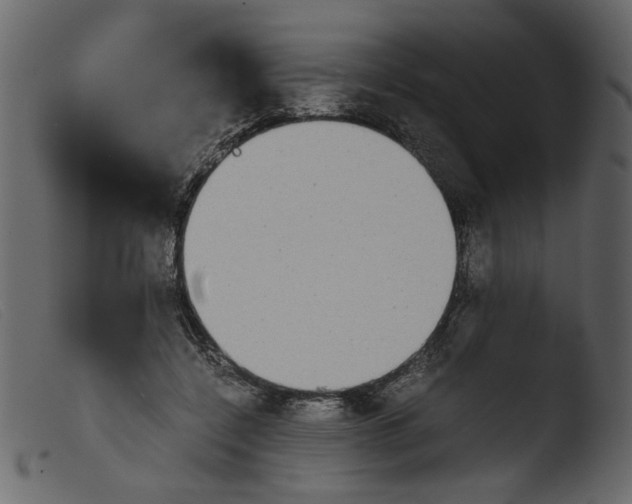 X0000103960548200810101247