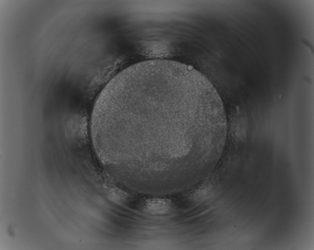 X0000103960549200810101247