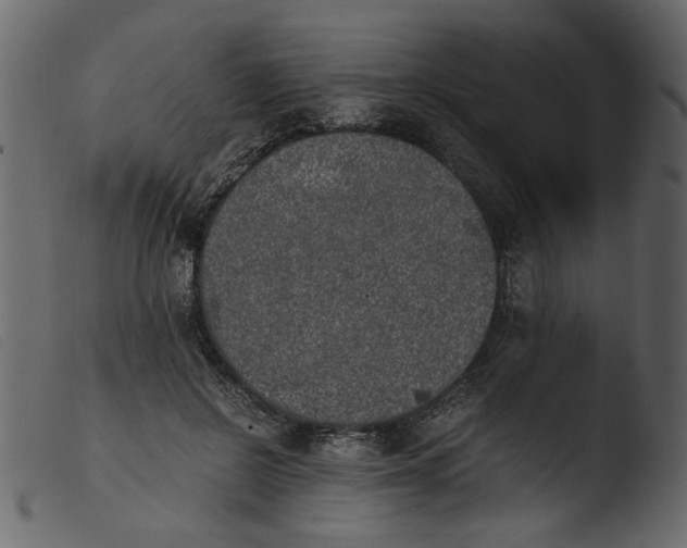 X0000103960550200810101247