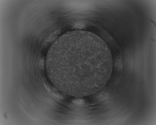 X0000103960551200810101247