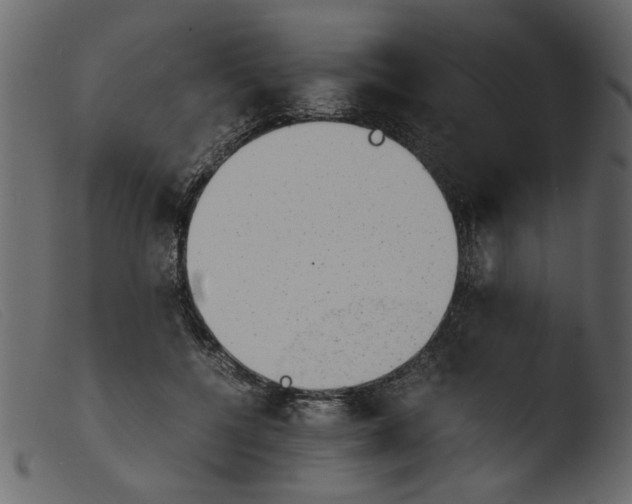 X0000103960552200810101247