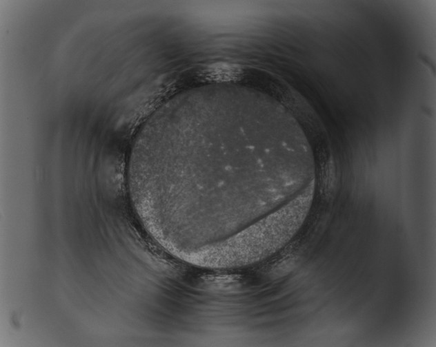 X0000103960553200810101247