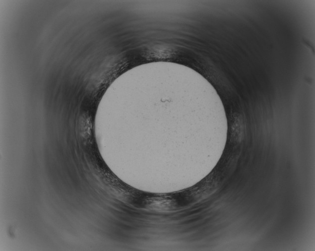 X0000103960555200810101247