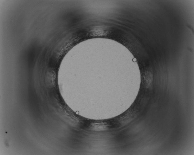 X0000103960556200810101247