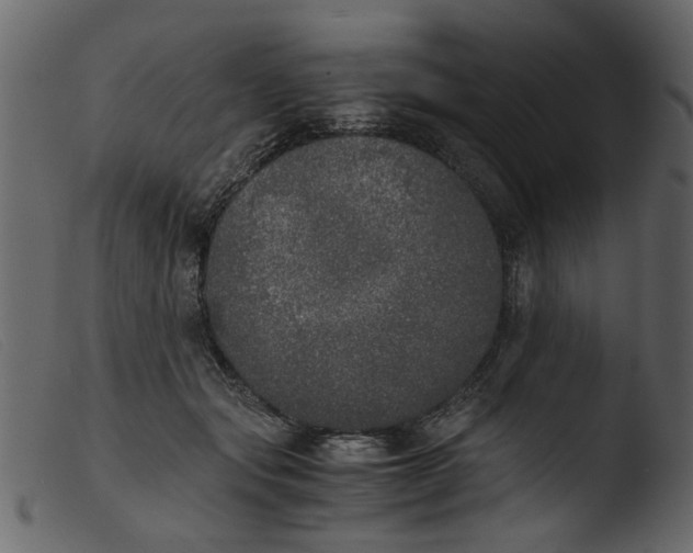 X0000103960557200810101247