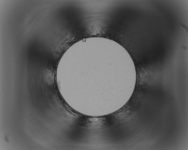 X0000103960558200810101247