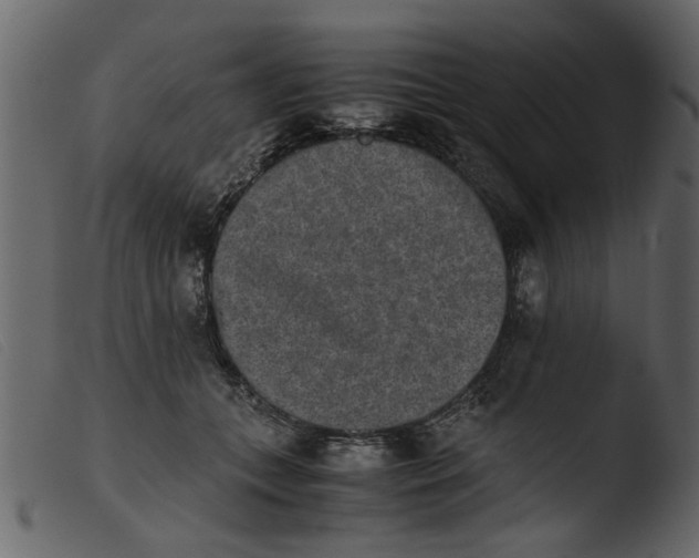 X0000103960559200810101247