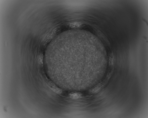 X0000103960561200810101247