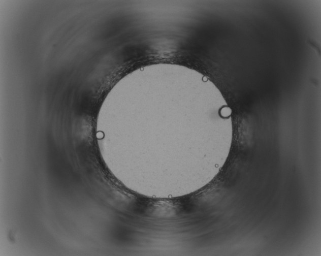 X0000103960562200810101247