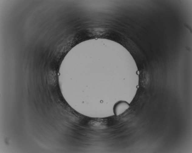 X0000103960563200810101247