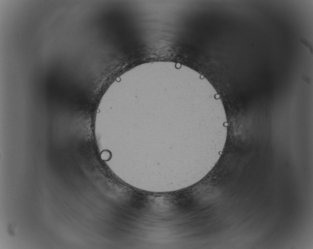 X0000103960564200810101247