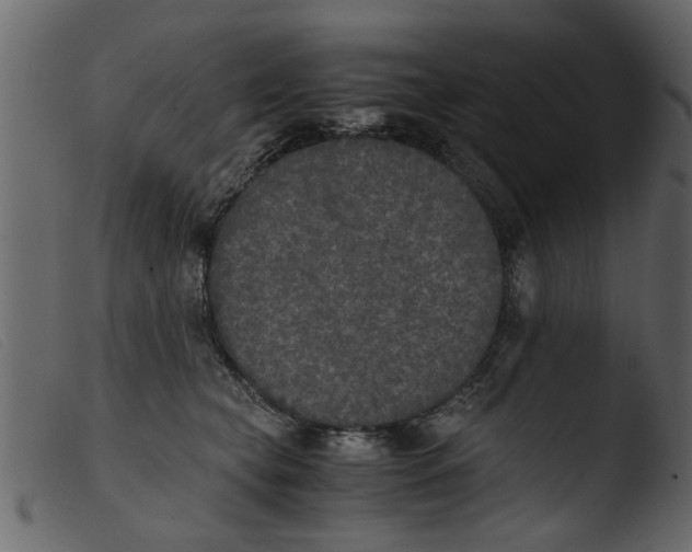 X0000103960565200810101247