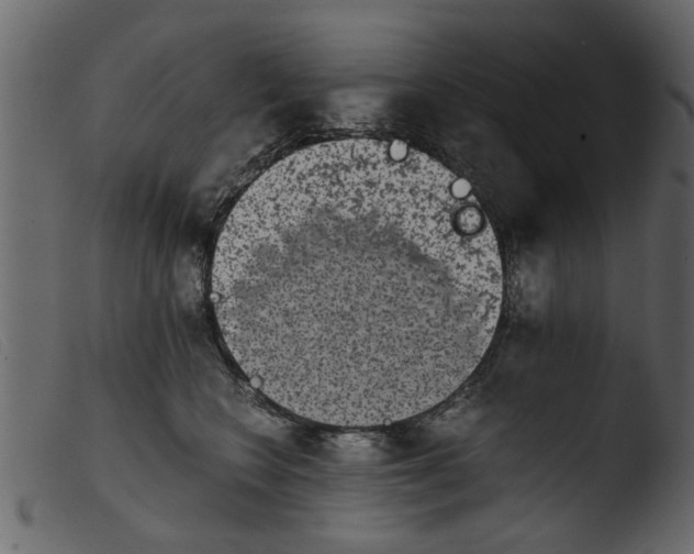 X0000103960566200810101247