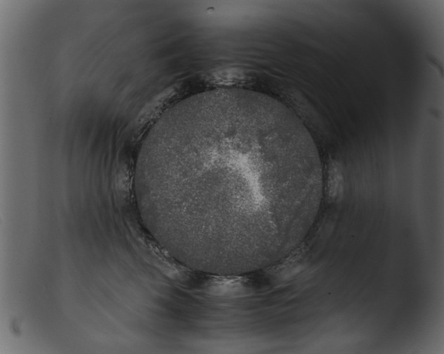 X0000103960569200810101247