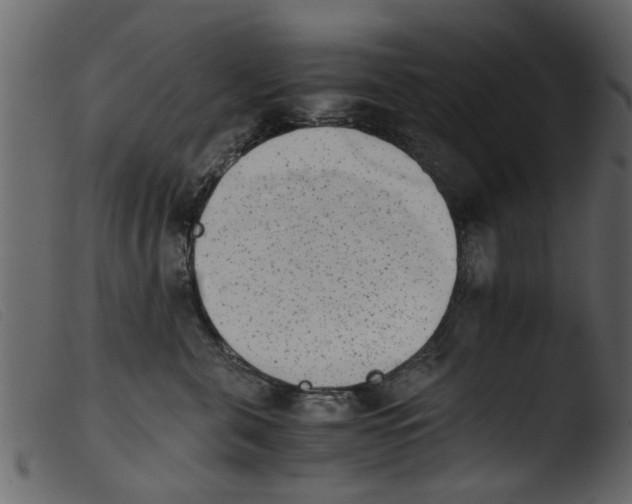 X0000103960571200810101247