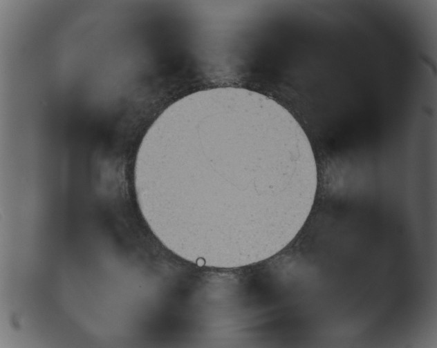 X0000103960572200810101247