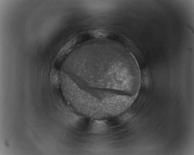 X0000103960573200810101247