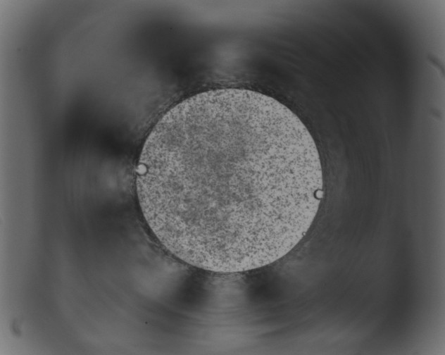 X0000103960576200810101247