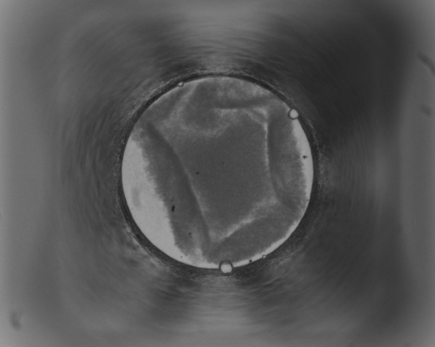 X0000103960577200810101246