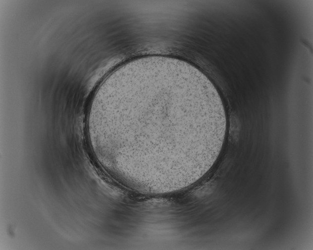 X0000103960578200810101246