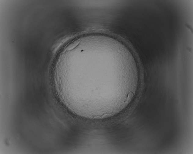 X0000103960579200810101246