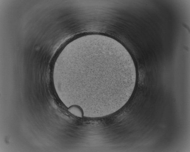 X0000103960580200810101246