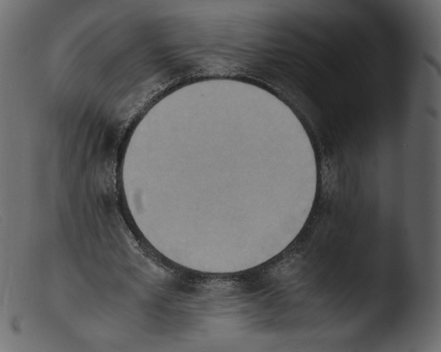 X0000103960581200810101246