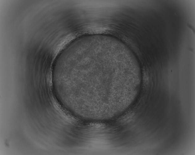 X0000103960582200810101246