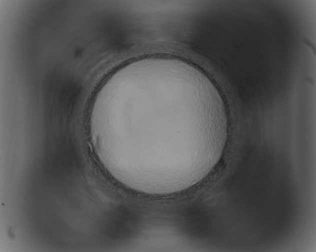 X0000103960583200810101246