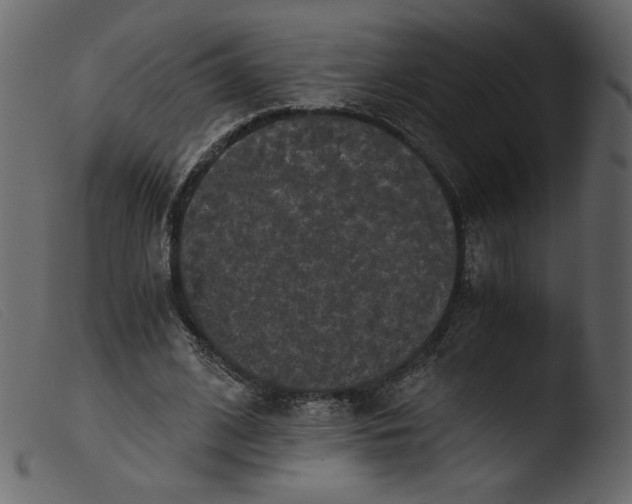 X0000103960584200810101246