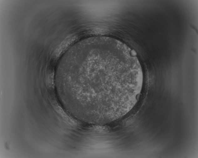 X0000103960585200810101246