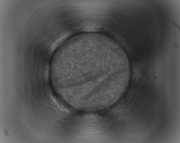 X0000103960586200810101246