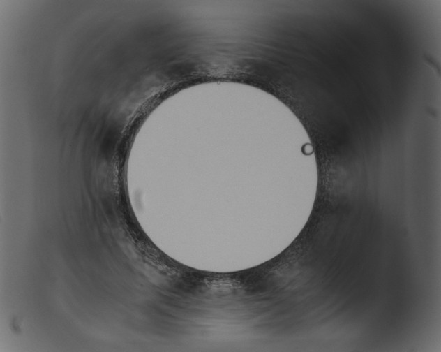 X0000103960587200810101246