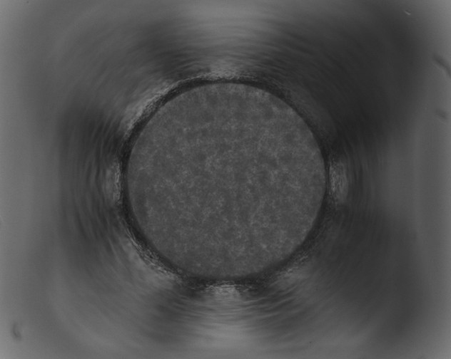 X0000103960588200810101246