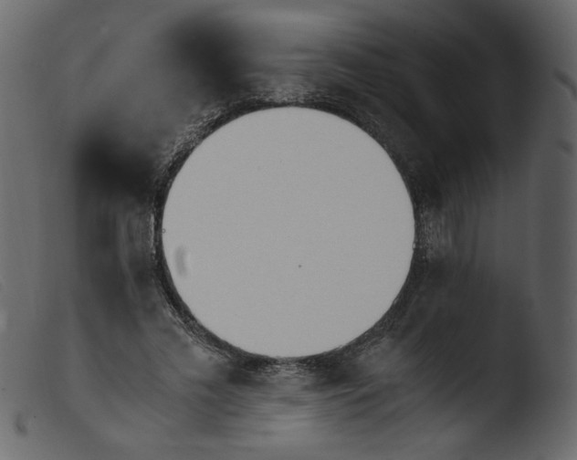 X0000103960589200810101246