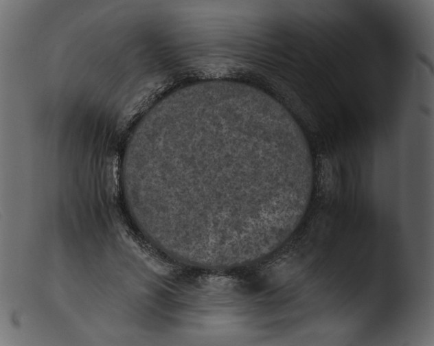 X0000103960590200810101246