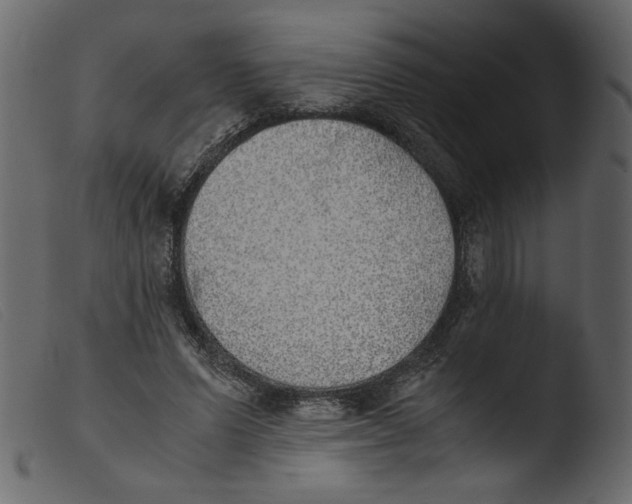 X0000103960591200810101246